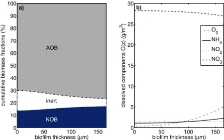 Fig. 2 Spatial distribution across the biofilm at steady state for D = 5/day and c = 50: (a) biomass frac- frac-tions AOB (gray), NOB (dark blue) and inerts (white) in the biofilm; (b) concentrafrac-tions C(z) of oxygen (dash-dot gray), ammonium (solid), n