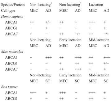 Table 3 Species-based protein localization of candidate ABC trans- trans-porters in various mammary cell types