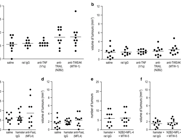 Fig. 2   neutralization of death-inducing tnF family ligands has no  influence on tumour development in nnK-treated a/J mice
