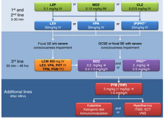 Fig. 1 Flow chart of status epilepticus (SE) treatment, with standard dosages and administration routes
