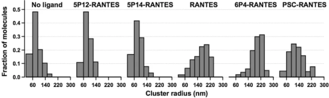 Fig. 4   Distribution of arrestin  3 molecules as a function of  cluster size determined from  CBC-mediated morphological  cluster analysis