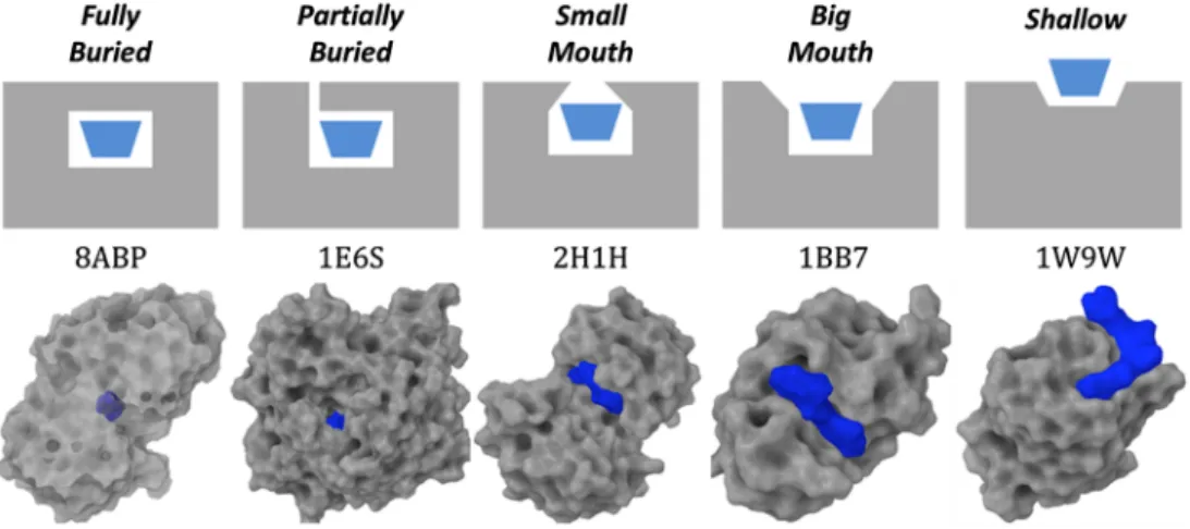 Figure 4 shows the distribution of key properties within the different binding site categories in our data set