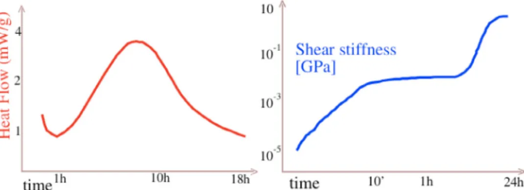 Fig. 2. Left: schematics of the time dependence of the heat ﬂow during hydration, typically obtained in calorimetry measurements