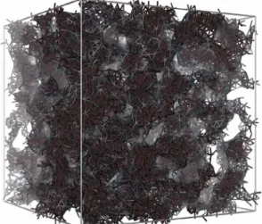 Fig. 3. A snapshot of the gel obtained in the simulations of our model for the formation of C–S–H gels during cement hydration (the data are from Ref