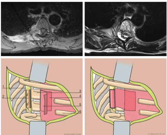 Fig. 1 Upper left panel: