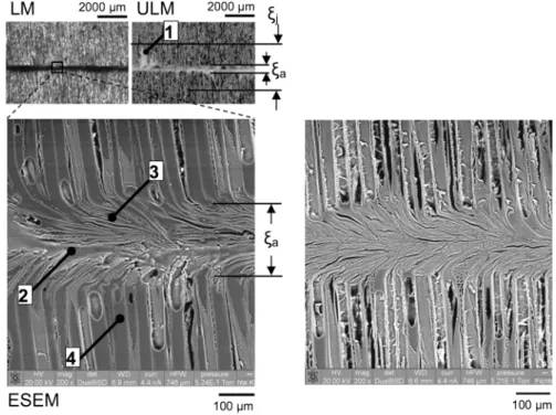 Fig. 5 Microscopic investigation of glue joint microstructure. Top-left light microscopy