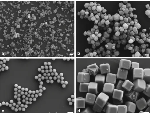 Fig. 1 SEM images of calcium fluoride particles prepared by precipitation from NaF and CaCl 2 solutions