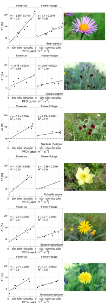 Fig. 3 Linear regressions for the correlation between temperature difference (flower-air and flower-foliage) and photon flux density (PFD) for six closer considered species