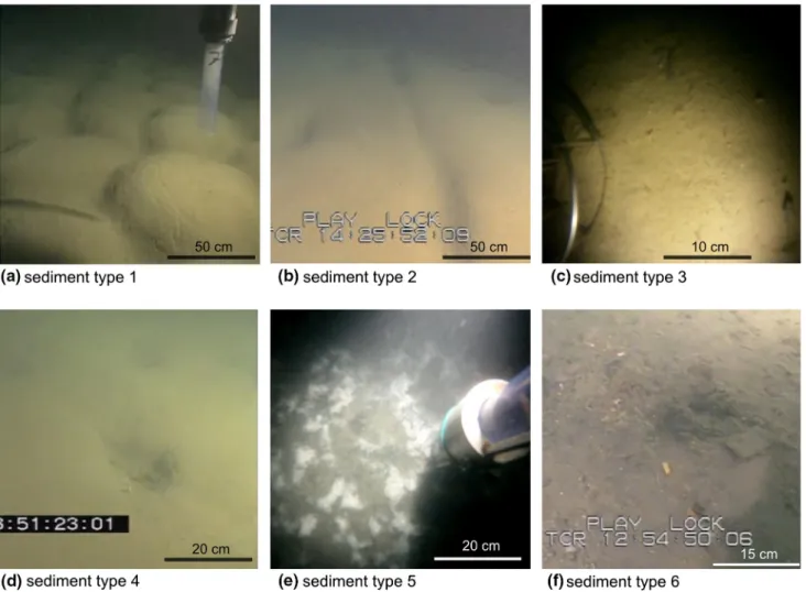 Fig. 2 Photos of the different types of sediments surfaces. Type 1—