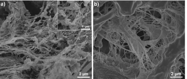 Figure 3 shows fracture surfaces after tensile tests of neat polymer, Acr3–NFC and Alk3–NFC films before and after aging, respectively