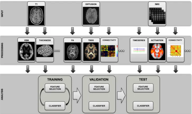 Fig. 1 Schematic illustration of the data processing pipeline. Several types of data input such as T1, diffusion weighted imaging or fMRI are in a first step pre-processed in multiples ways usually known from advanced image analysis techniques including de