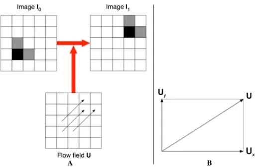 Fig. 2 Illustration of optical flow fields. Note a Optical flow field U operating on image I 0 to produce image I 1 
