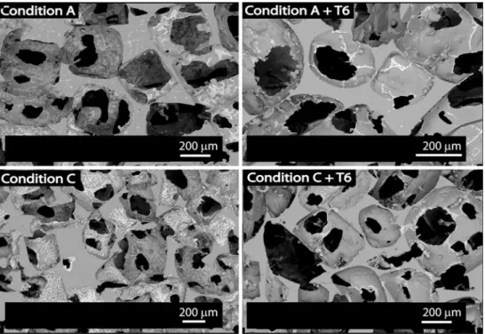 Figure 1 shows SEM micrographs in electron backscat- backscat-tered mode of the four different microcellular Al–