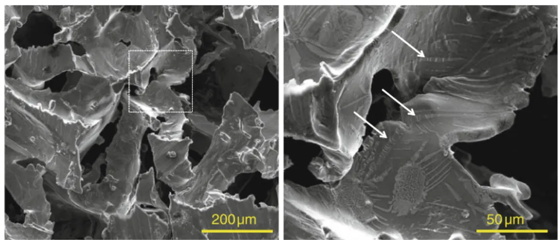 Fig. 3 Secondary electron SEM micrograph of the compressed as-cast Al–