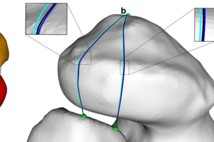 Figure  3a shows the isometric score of each subject,  compared with the maximum relative length change  dur-ing the entire range of motion