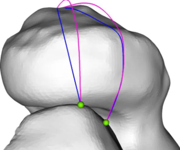 Fig. 5   general-purpose numerical optimizers, such as Powell’s non- non-linear constrained optimization [21], generate paths which sometimes  fail to converge to the desired solutions (depicted in magenta)