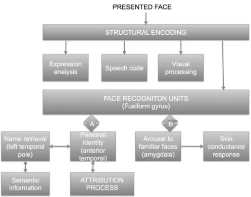 Fig. 1 The face recognition system
