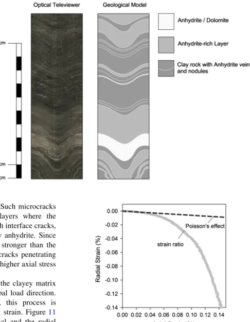 Fig. 9) showed macroscopic cracks prior to failure. This observation, together with the observations from  micro-scopic investigation, suggests that microcracks forming under unconfined compression in heterogeneous specimens do not localize or form a macro