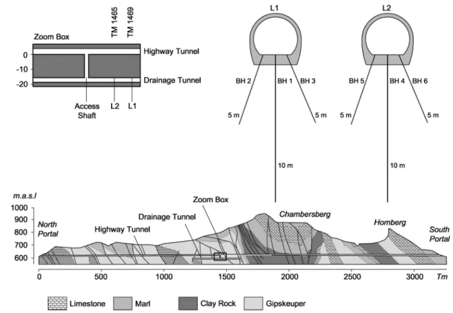 Fig. 3 Specimen geometries and nomenclature utilized to categorize specimens for unconfined and confined compression tests