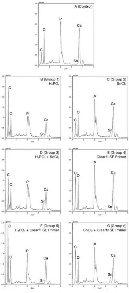 Fig. 3 Spectra of the energy dispersive X-ray spectroscopy (EDX) for qualitative