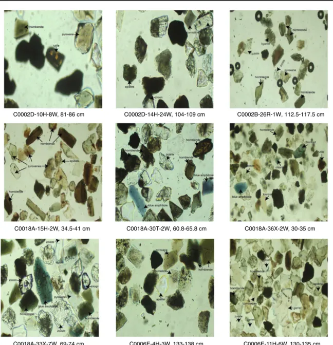 Fig. 3   Photomicrographs of some selected samples showing the heavy mineral grains in each sample