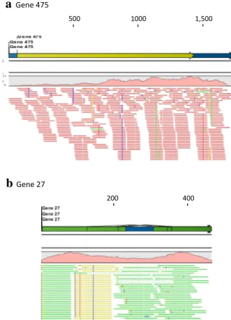 Fig. 3   novel transcripts identified from reads unmapped initially. 