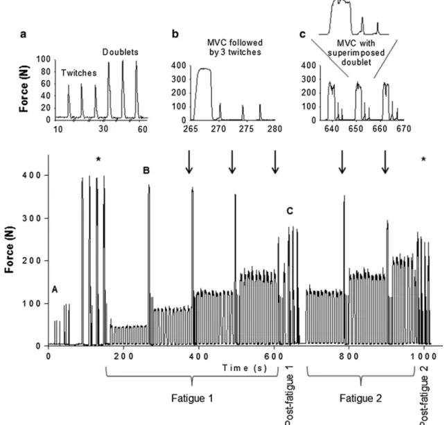 Fig. 1   Protocol design. a typical twitches and doublets at the three  different intensities (please note that the time axis has been broken  for clarity), b a typical MVc performed at the end of each set and the  three following doublets evoked at the th