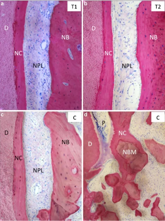 Fig. 3 Representative