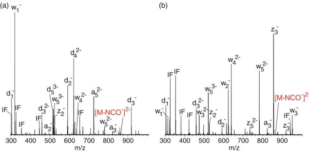 Figure 3. MS 2 spectra of [C*C*G*G*T*T] 3 – and [C*C*G*G*TT] 3 – exhibiting a M-NCO – peak of 0.96% (m/z 863.7089) and 0.52%