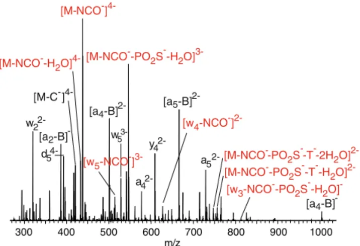 Figure 5. Product ion spectrum of [CCGGTpsT] 5– giving evidence for the subsequent excision of the ultimate  phos-phorothioate group after loss of a cyanate anion and water [RCE: 15%]