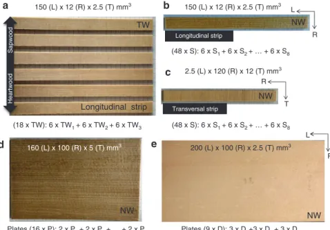 Figure 1: Dimensions of the specimens, the number of experiments and abbreviations, (a) tone-wood (TW) samples, (b) the S longitudi- longitudi-nal specimens from NW and (c) transversal specimens from NW