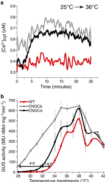 Fig. 2 Deletion of CNGCd causes hyper-thermoresponsive Ca 2+ in- in-flux and hyper-thermosensitive HSP expression