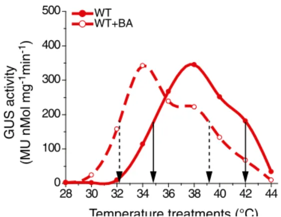 Fig. 3 The membrane fluidizer benzyl alcohol (BA) produces a hyper- hyper-thermosensitive response in Hsp-GUS WT