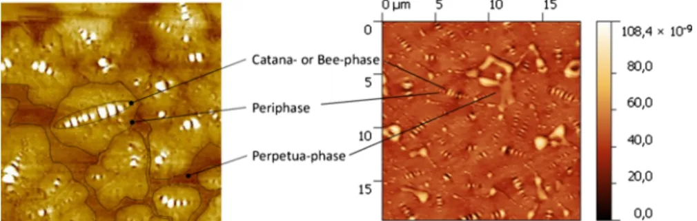 Fig. 11 AFM topography images of Bit-B using various sample preparation techniques: (a) spin cast rapid cooling, (b) hot plate smear rapid cooling and (c) hot plate smear slow cooling, image size 15 lm 9 15 lm (images: courtesy Lab 7)