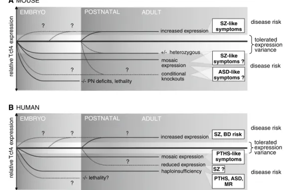 Fig. 2   Phenotypical comparisons reveal different TCF4 gene dosage  dependences in mice (a) and humans (b) in neurodevelopment related  diseases including schizophrenia