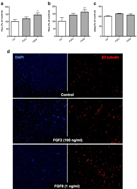 Fig. 3. Effect of cognate ligands of FGF receptor on CGR8-2luc neural differentiation