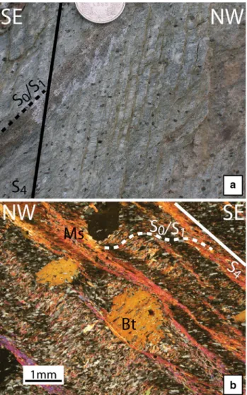 Fig. 8 S 4 crenulation cleavage developed in meta-pelite (sample MC301) from the southern limb of the Glishorn antiform, Urseren zone, footwall (647656/134493)