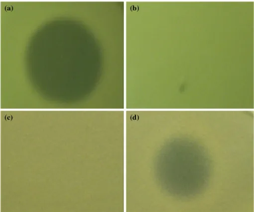 Fig. 6   Spot-on-lawn assay of  50 % acetonitrile eluent and  30 % acetonitrile eluent