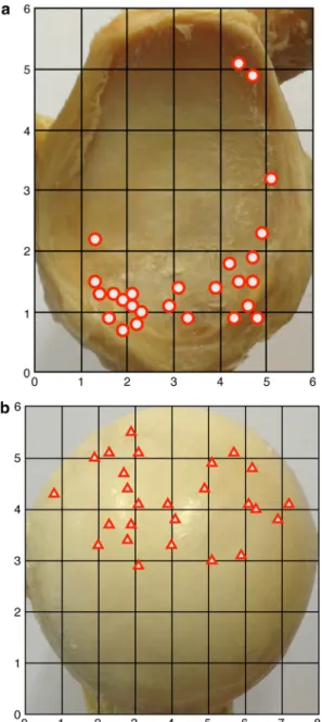 Fig. 2 Summary chart of all cartilage thickness maxima in a glenoid cavities and b humeral heads