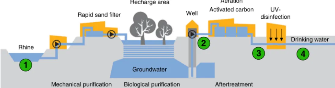 Fig. 1 Simplified scheme of the IWB drinking water production process in Basel (CH). The Rhine water ( 1 ) is first roughly purified by quartz sand filters (fast filtration system) before it is distributed over forested recharge areas in the “ Langen Erlen