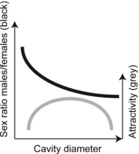 Figure 1. Qualitative relationship between cavity di- di-ameter, attractiveness to female Osmia bees and the resulting sex ratio (proportion of males to females) of the progeny.