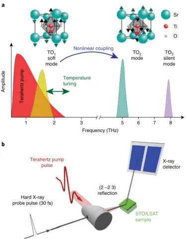 Fig. 1 | Phonon frequency spectrum and experimental overview. 
