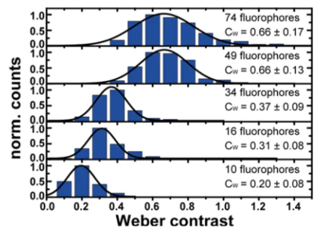 Figure 4 shows histogram plots of the Weber contrast for each