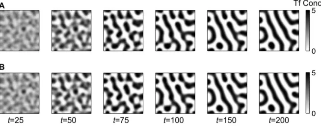 Figure S4. Two-components and three-components models show a similar behavior in the Activating  situation