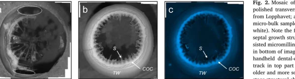 Fig. 5). Lowest values were obtained from the COC areas (brown ske- ske-letal structures, Fig