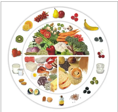 Fig. 7. The plate (“normal” size)  shows the typical balanced  Medi-terranean style diet, which is used  as a model to show the proportion  represented by each of the  com-ponents: about half for  vegeta-bles, about one quarter for food  rich in protein (m