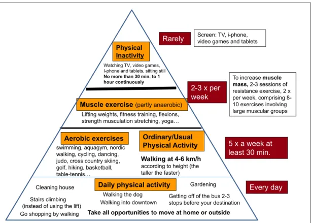 Fig. 8. The principle of the physical activity pyramid is that the more you climb the pyramid, the less amount  of time needs to be dedicated to physical activity