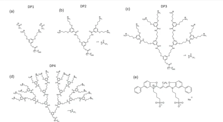 Fig. 1 Chemical structures of the DPs featured in this publication (DP1, DP2, DP3 and DP4) as shown in (a – d) and the cyanine dye J560 used for J-aggregate formation (e).