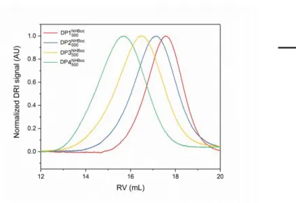 Figure S1.  Normalized GPC curves (DMF with 0.1 % LiBr, 45 °C, DRI detector) of the N-