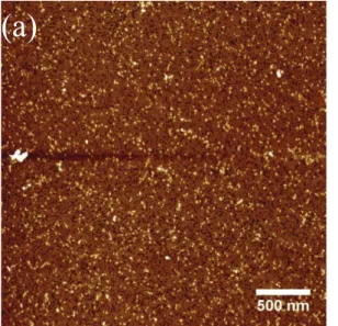 Figure S3.  AFM height images of DP4 deposited from 100 mg L -1  solutions in 100 mM acetate  buffer at pH = 4 during 1 h